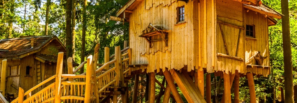 Zwei Baumhäuser im Wald